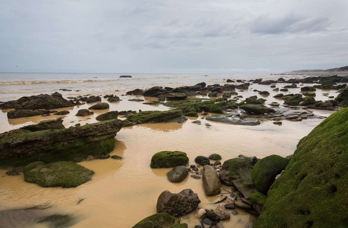 El-Nino-Preparedness-A-Comprehensive-Guide-by-The-Centric-Moving-Company