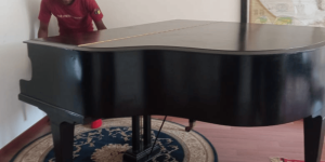 Moving music equipment - Moving a grand Piano the right way, by the Centric Movers crew